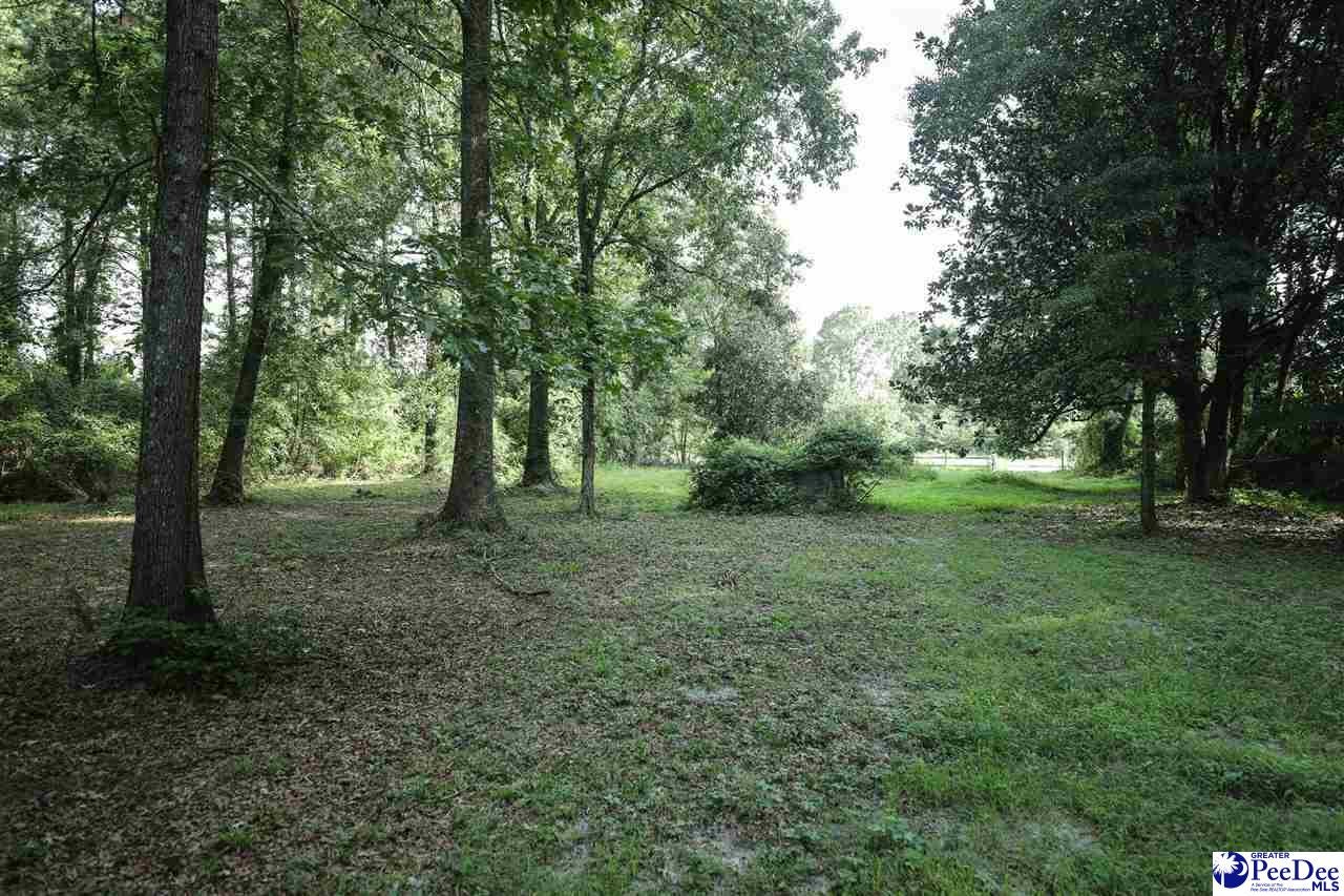 53-acres Old River Road Florence, SC 29505 - Photo 18 of 18 Gallery Image 18