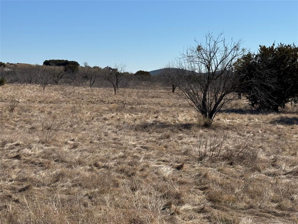 Lot 1049 Frog Branch Graford, TX 76449 - Photo 12 of 14 a view of a dry field with trees in the background