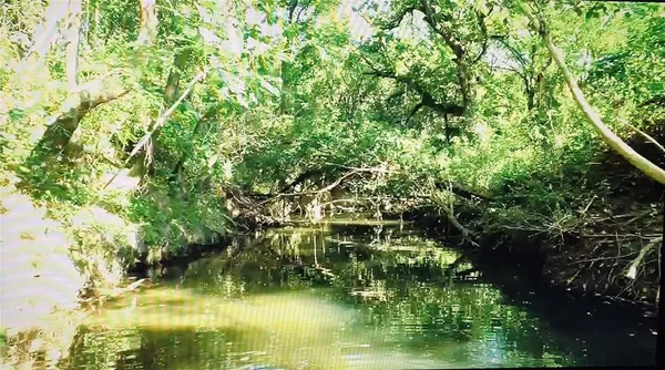a view of an outdoor space and yard