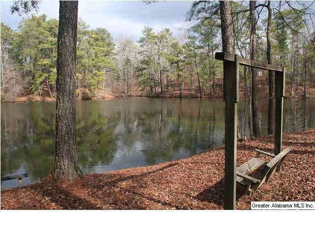 777 Carl Raines Lake Road Birmingham, AL 35244 - Photo 12 of 32