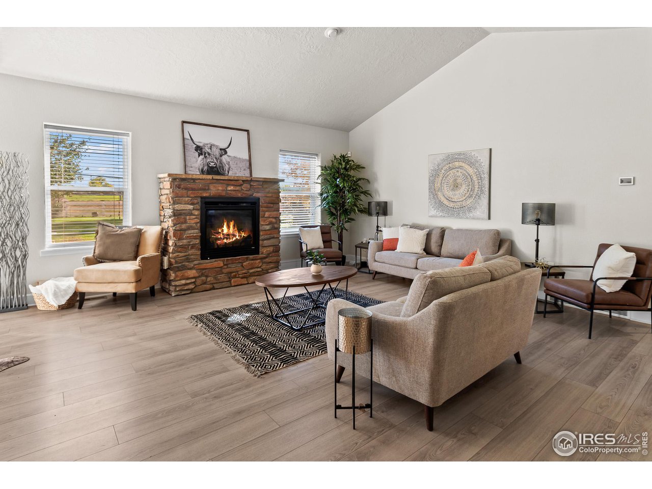 2002 Trail Ridge Drive Severance, CO 80615 - Photo 11 of 38 a living room with furniture and a fireplace