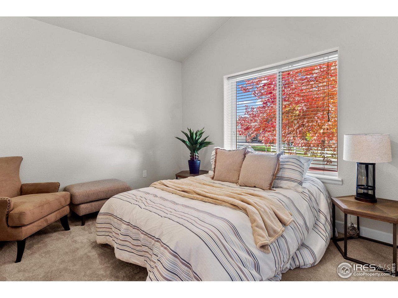 2002 Trail Ridge Drive Severance, CO 80615 - Photo 13 of 38 a bedroom with a bed and a couch