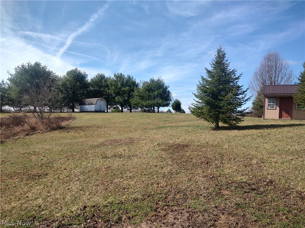 11973 Virtue Road Kimbolton, OH 43749 - Photo 7 of 12 View of green lawn with a storage unit