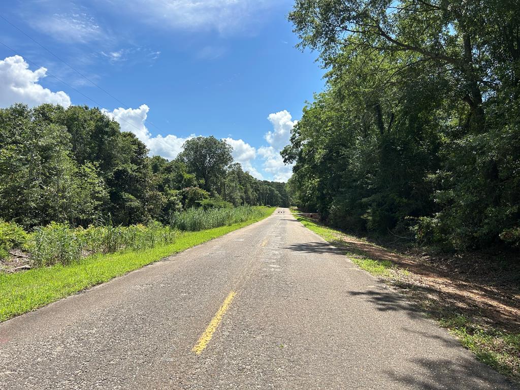 Lot 5-3 -ac Cty Road Newville, AL 36353 - Photo 13 of 13