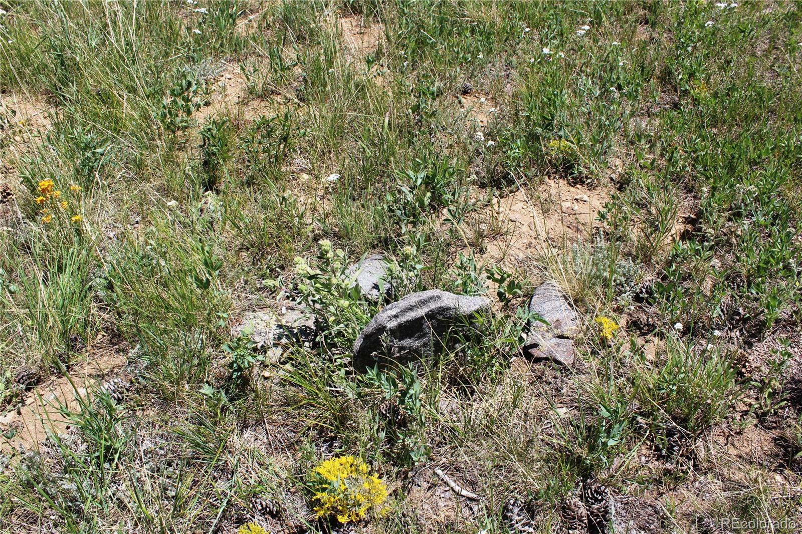 1595 Missouri Gulch Road Black Hawk, CO 80422 - Photo 33 of 49