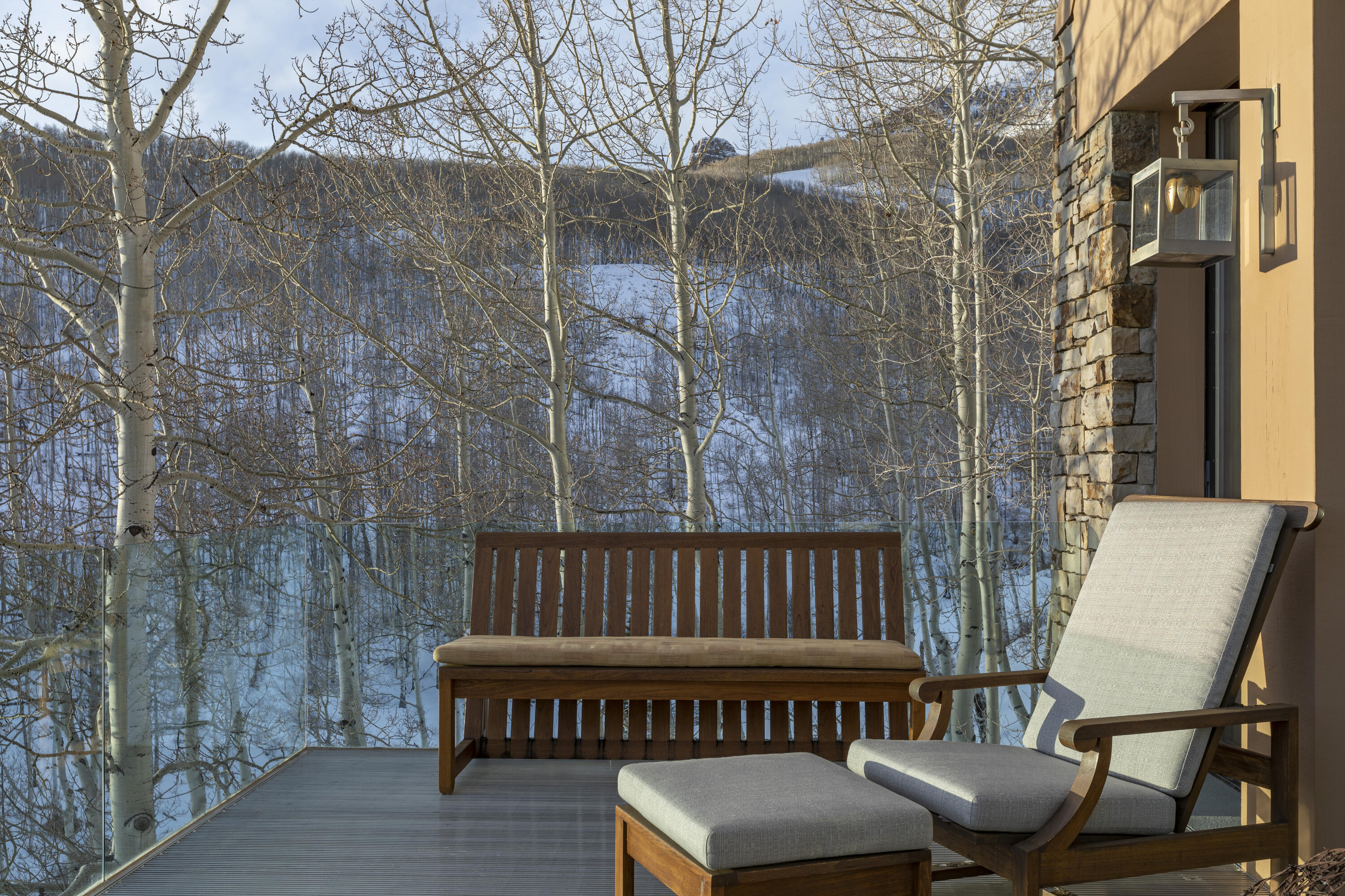 113 Joaquin Road Telluride, CO 81435 - Photo 14 of 40 DeckNorth