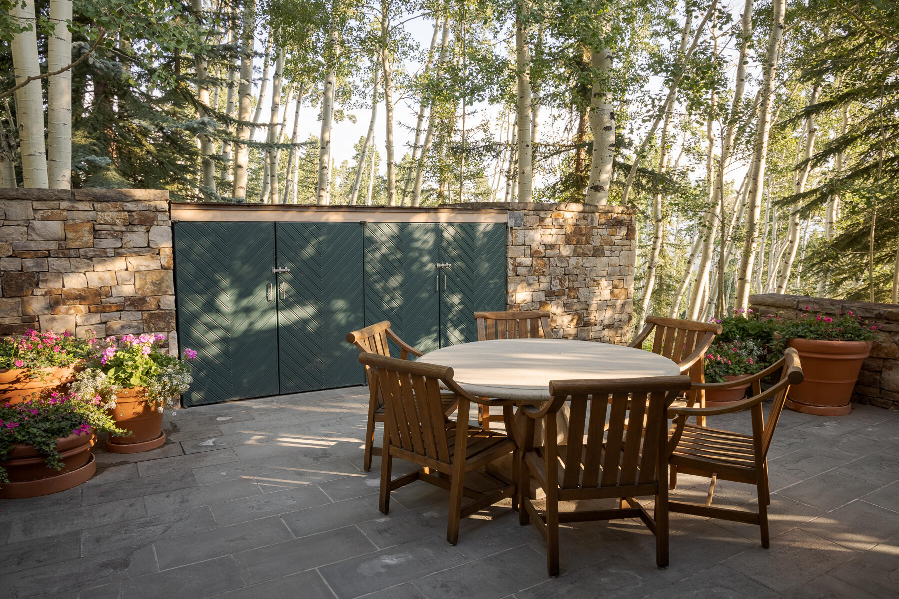 113 Joaquin Road Telluride, CO 81435 - Photo 19 of 40 Joaquin-7