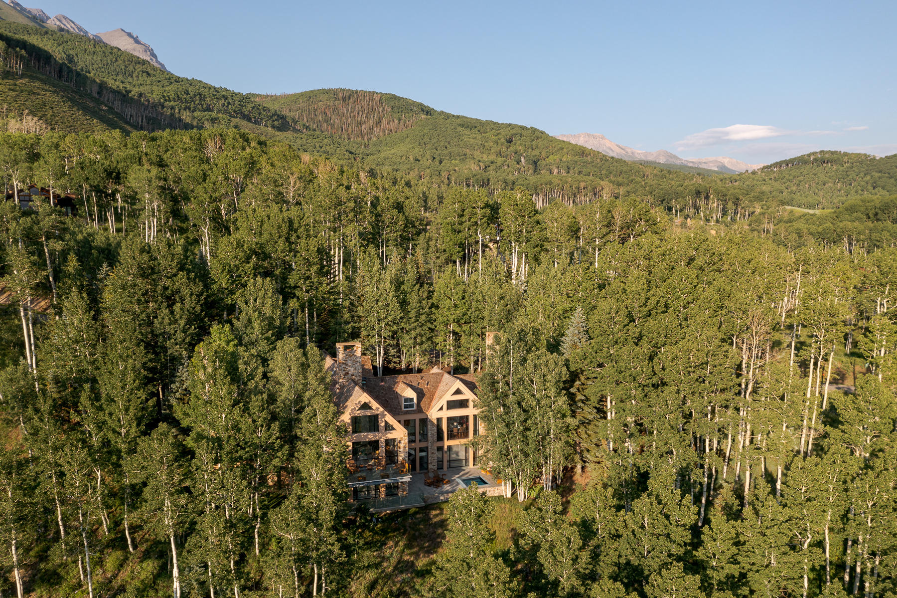 113 Joaquin Road Telluride, CO 81435 - Photo 3 of 40 Joaquin-3