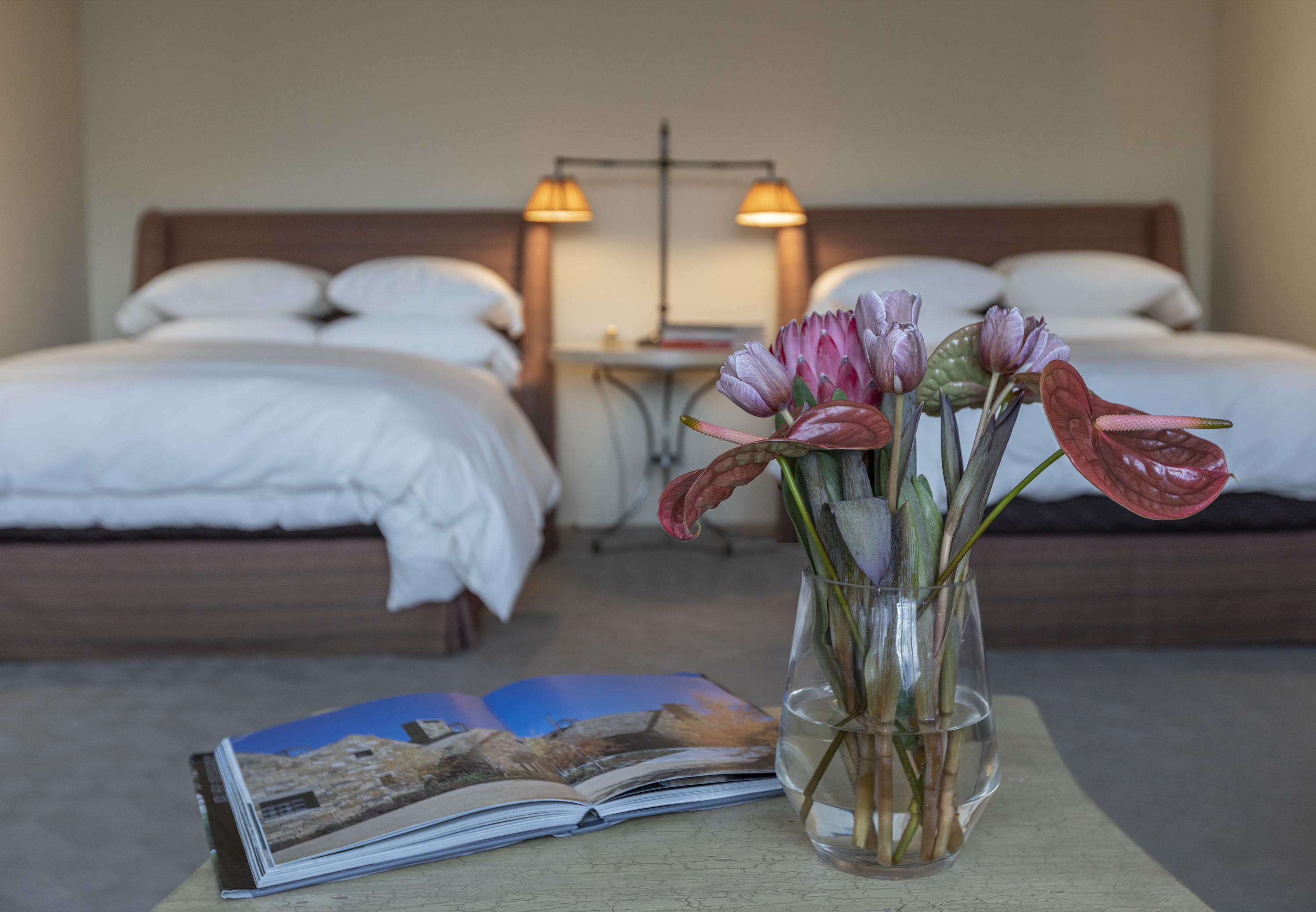 113 Joaquin Road Telluride, CO 81435 - Photo 29 of 40 FlowersGBI