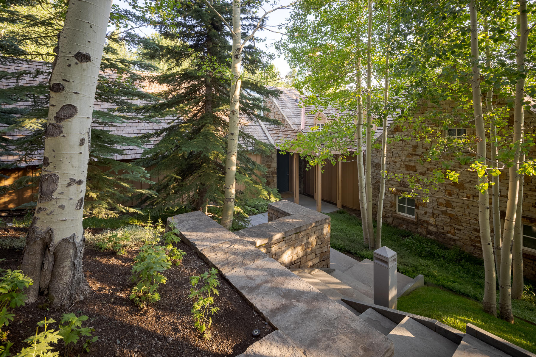 113 Joaquin Road Telluride, CO 81435 - Photo 4 of 40 Joaquin-8