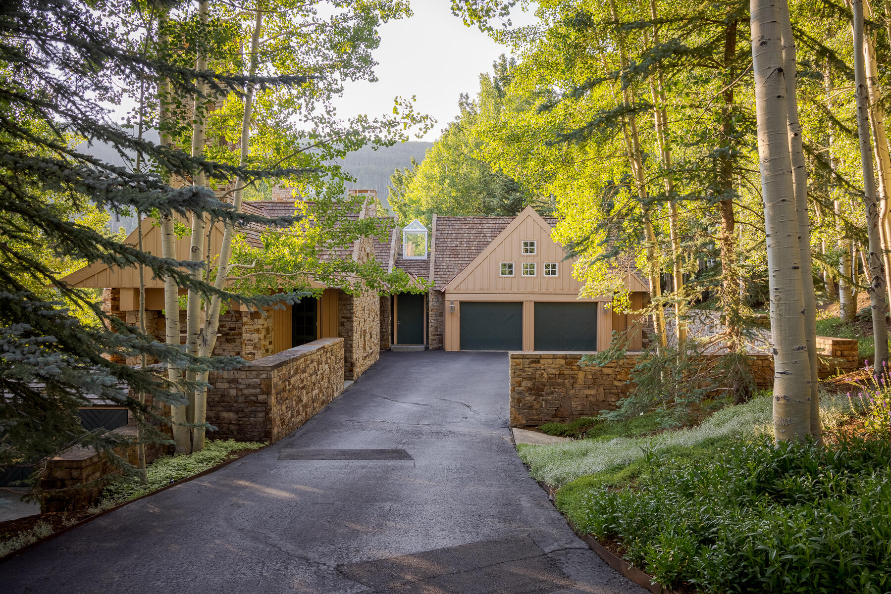 113 Joaquin Road Telluride, CO 81435 - Photo 6 of 40 Joaquin-5