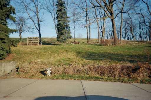 1121 Venetia Road Eighty Four, PA 15330 - Photo 8 of 8 Other.