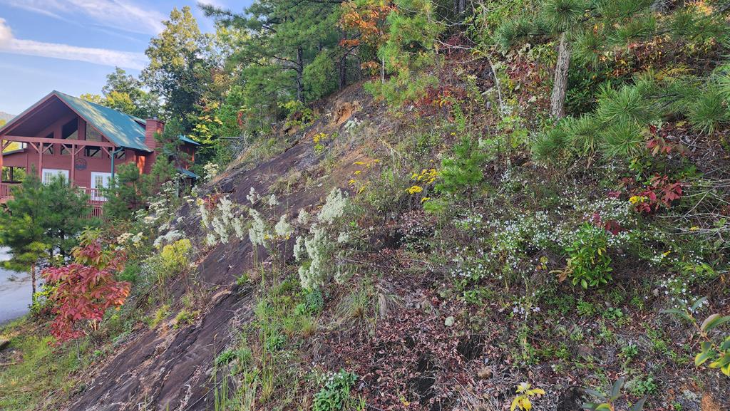 299 Bethabara View Hayesville, NC 28904 - Photo 106 of 131