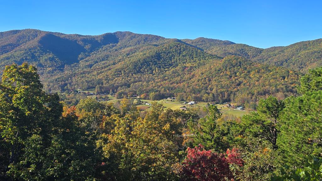 299 Bethabara View Hayesville, NC 28904 - Photo 110 of 131 a view of a forest with mountains in the background