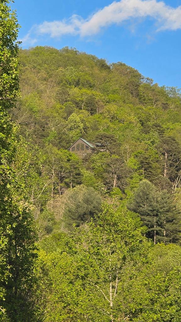 299 Bethabara View Hayesville, NC 28904 - Photo 126 of 131