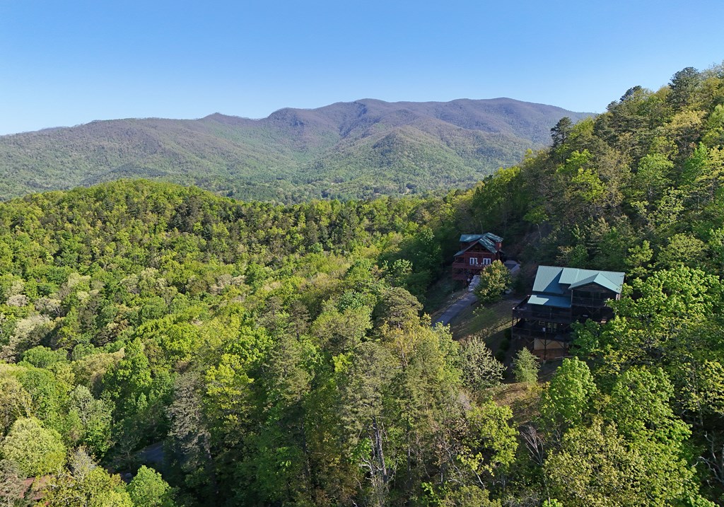 299 Bethabara View Hayesville, NC 28904 - Photo 13 of 131