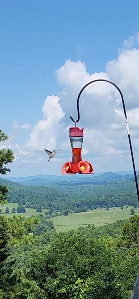 299 Bethabara View Hayesville, NC 28904 - Photo 131 of 131