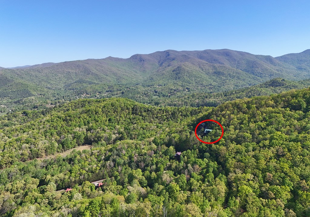 299 Bethabara View Hayesville, NC 28904 - Photo 15 of 131 a view of a lush green field with a mountain in the background