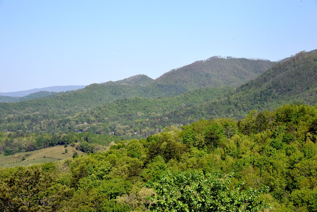 299 Bethabara View Hayesville, NC 28904 - Photo 26 of 131 a view of a mountain in the distance in a field