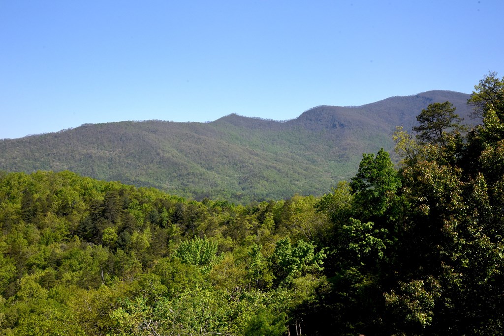299 Bethabara View Hayesville, NC 28904 - Photo 27 of 131 a view of a mountain range with lush green forest
