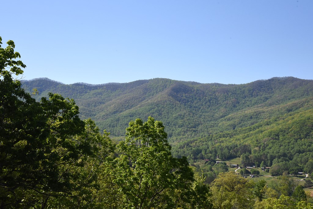 299 Bethabara View Hayesville, NC 28904 - Photo 29 of 131 a view of a mountain range with lush green forest