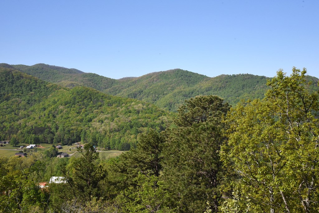 299 Bethabara View Hayesville, NC 28904 - Photo 30 of 131 a view of a mountain range with lush green forest