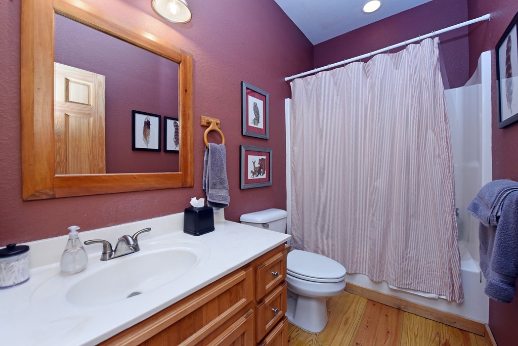 299 Bethabara View Hayesville, NC 28904 - Photo 46 of 131 a bathroom with a sink a toilet and shower curtain