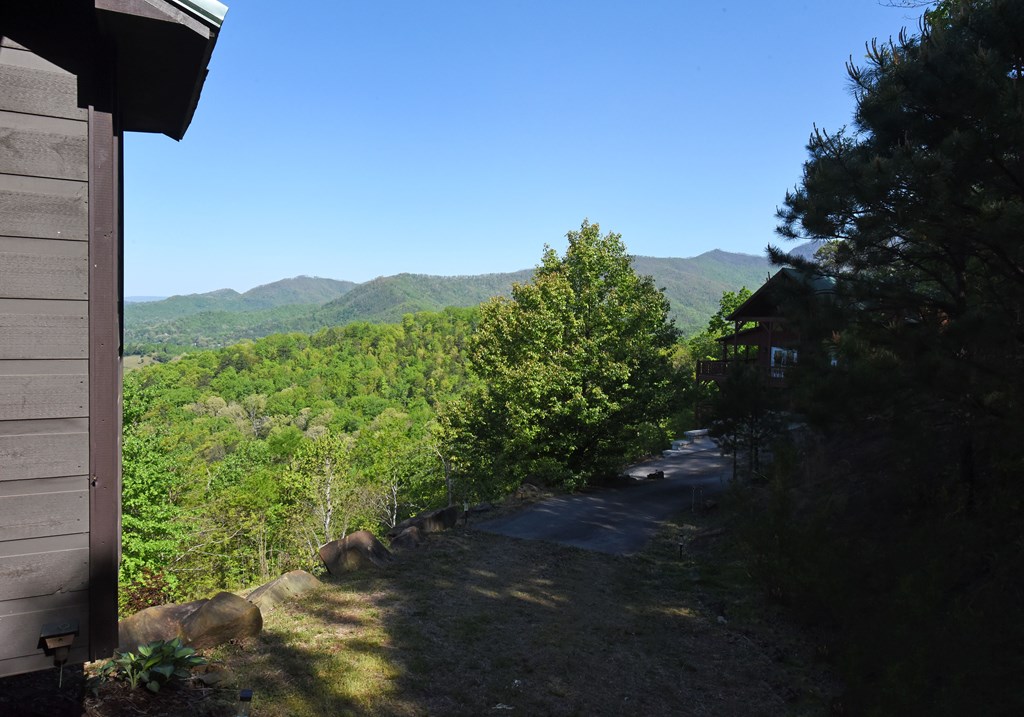 299 Bethabara View Hayesville, NC 28904 - Photo 5 of 131 a view of a yard with a tree