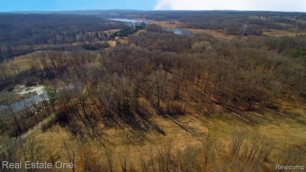 Vl Rattalee Lake Road Davisburg, MI 48350 - Photo 5 of 14