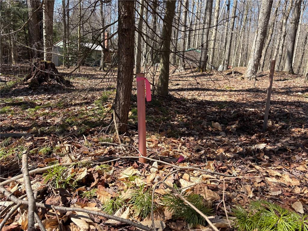 0 Sam Road Wilcox, PA 15870 - Photo 2 of 7