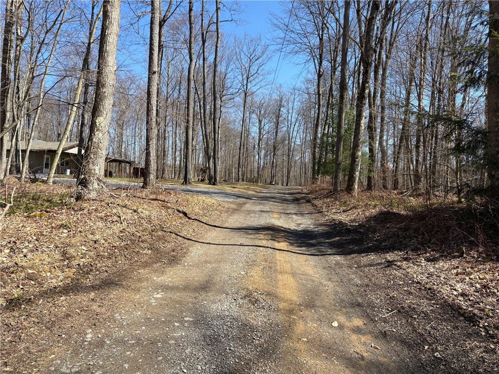 0 Sam Road Wilcox, PA 15870 - Photo 4 of 7