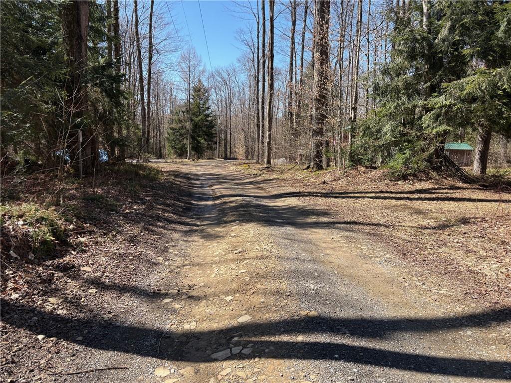 0 Sam Road Wilcox, PA 15870 - Photo 5 of 7