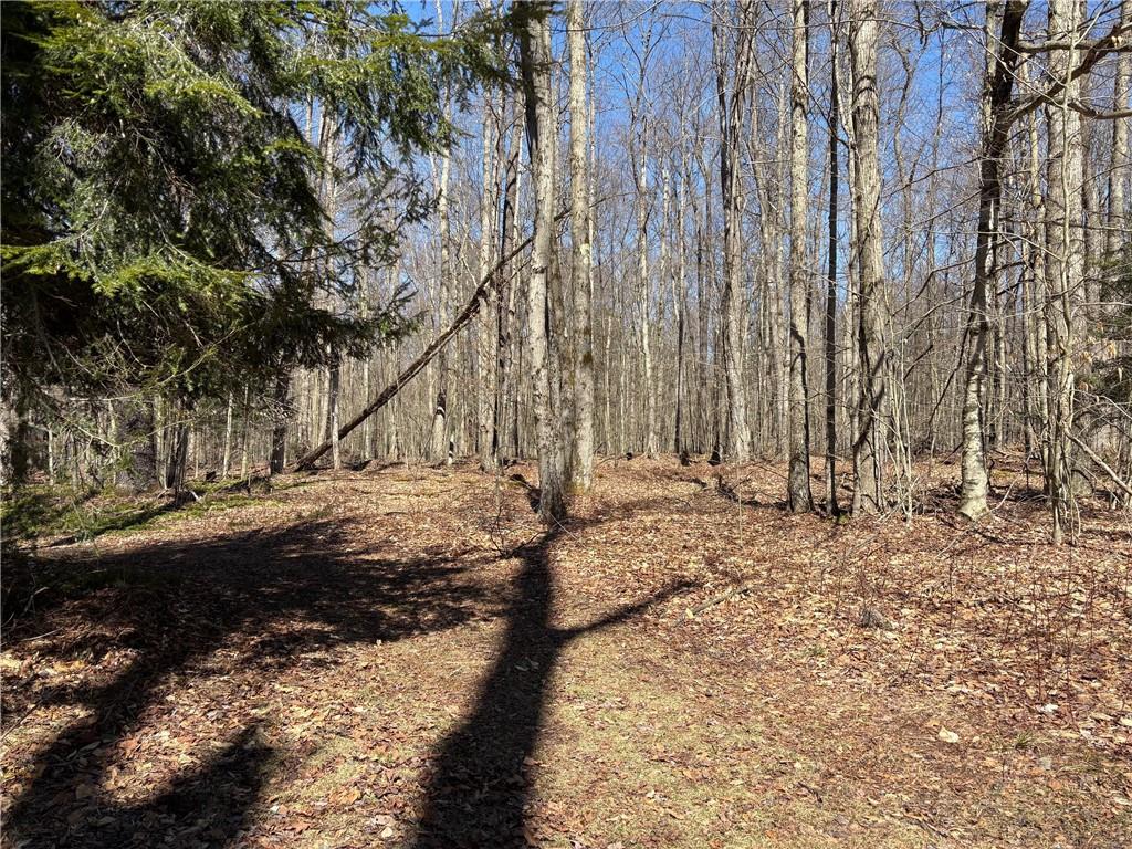 0 Sam Road Wilcox, PA 15870 - Photo 6 of 7