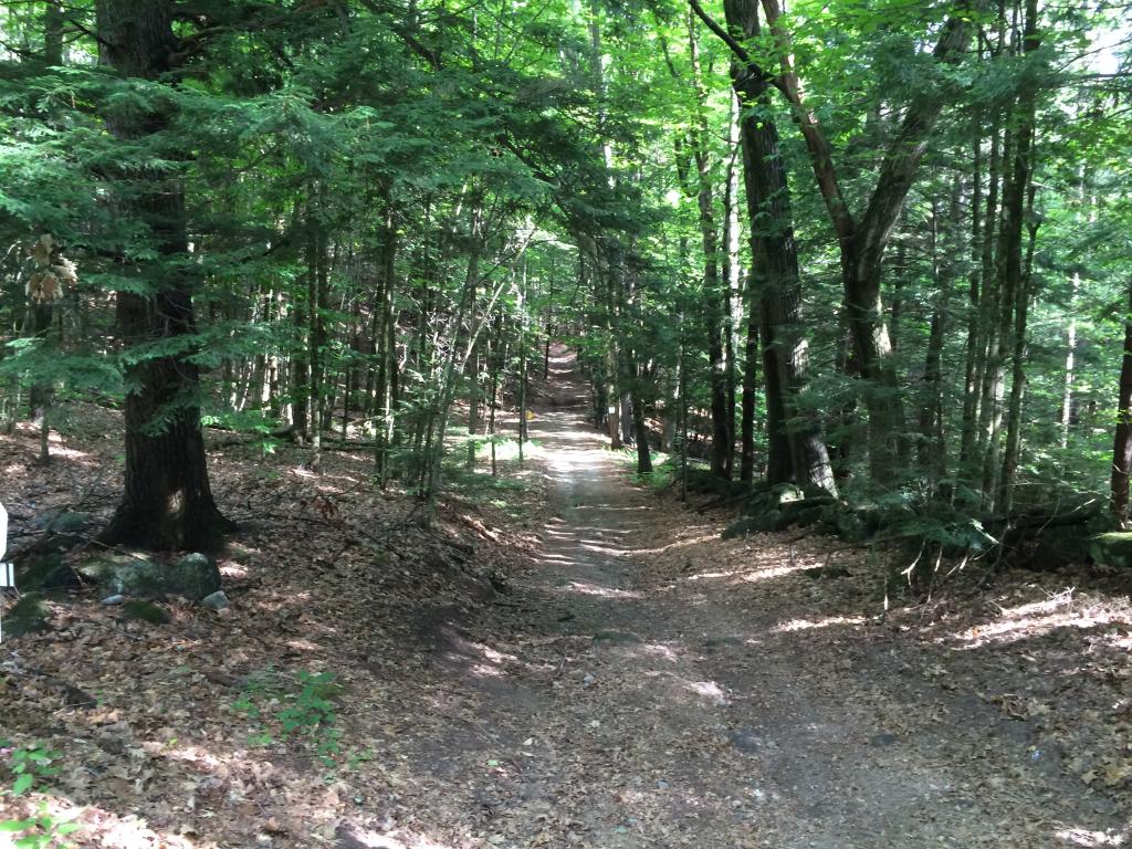 0 Sulphur Hill Road Antrim, NH 03440 - Photo 1 of 14