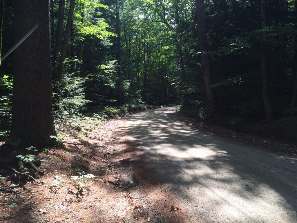 0 Sulphur Hill Road Antrim, NH 03440 - Photo 2 of 14