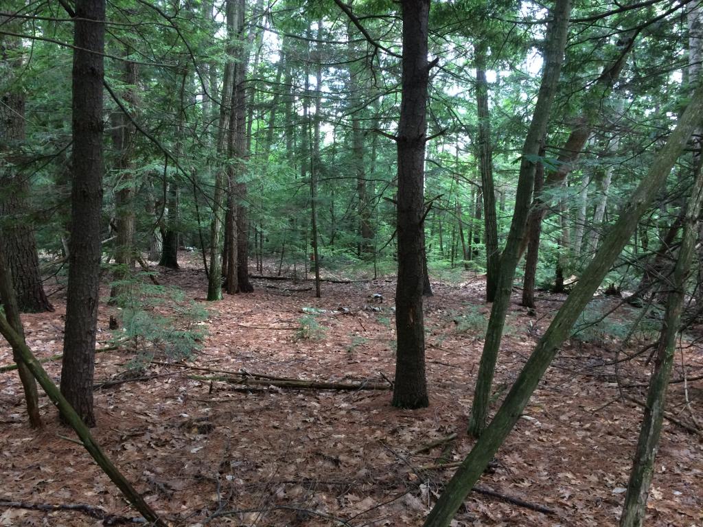 0 Sulphur Hill Road Antrim, NH 03440 - Photo 11 of 14