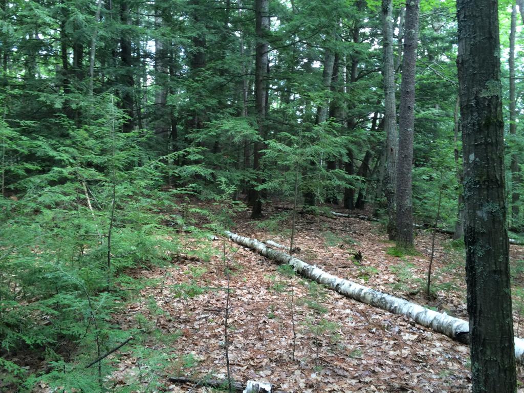 0 Sulphur Hill Road Antrim, NH 03440 - Photo 12 of 14