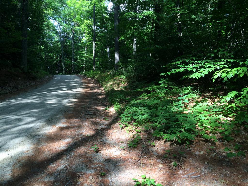 0 Sulphur Hill Road Antrim, NH 03440 - Photo 13 of 14