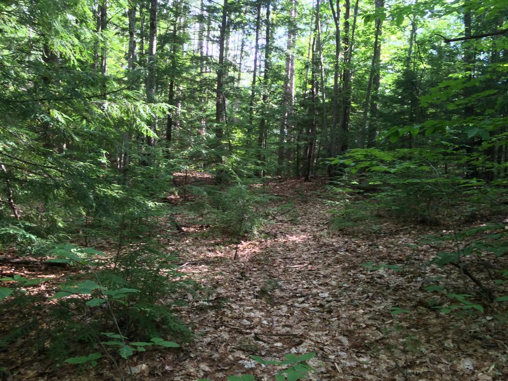 0 Sulphur Hill Road Antrim, NH 03440 - Photo 3 of 14