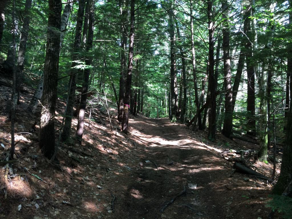 0 Sulphur Hill Road Antrim, NH 03440 - Photo 6 of 14