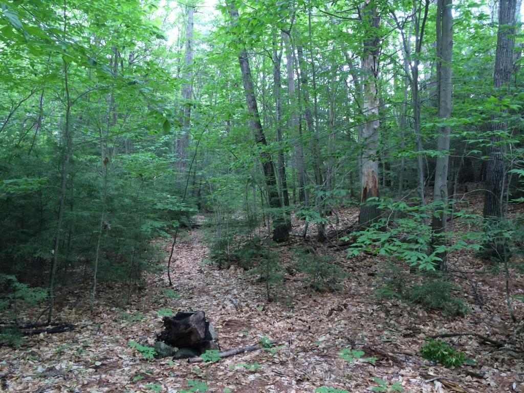 0 Sulphur Hill Road Antrim, NH 03440 - Photo 7 of 14