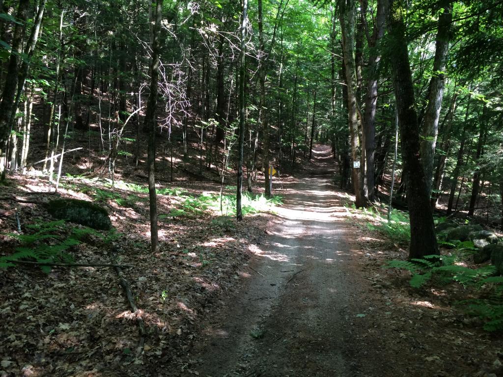 0 Sulphur Hill Road Antrim, NH 03440 - Photo 8 of 14
