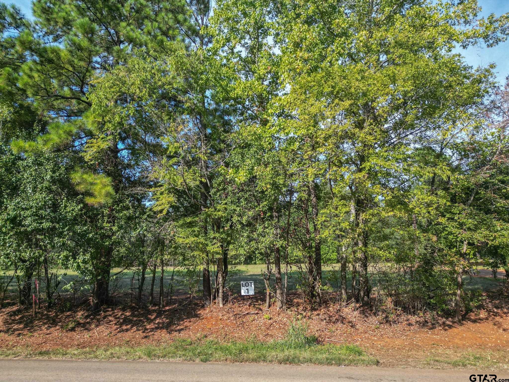 Lot 1 Willingham Road Whitehouse, TX 75791 - Photo 11 of 13 Gallery Image 11