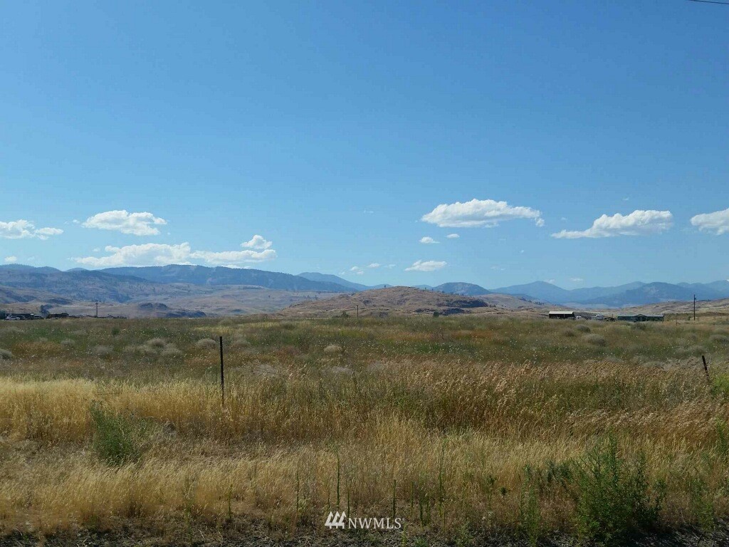 -tbd Greenacres Road Riverside, WA 98849 - Photo 2 of 2