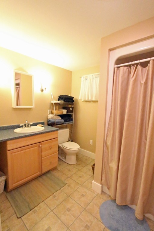 39 Harlow Clark Road Huntington, MA 01050 - Photo 25 of 30 a large bathroom with a sink a toilet a mirror and shower curtain