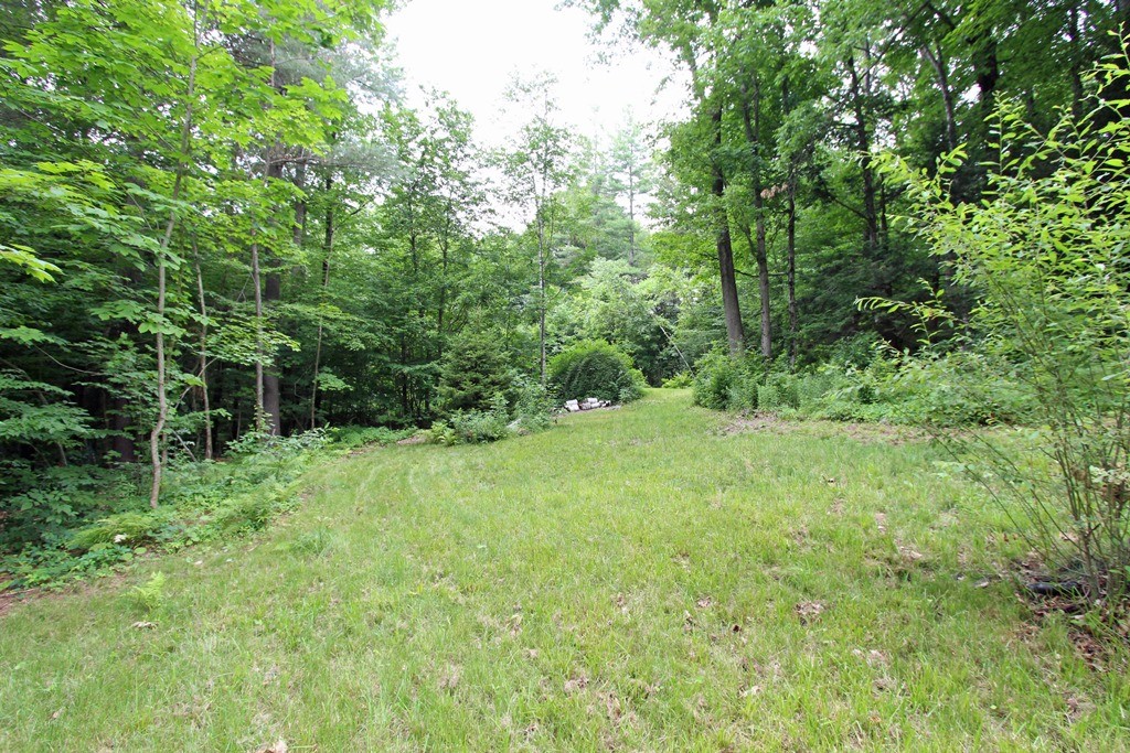 39 Harlow Clark Road Huntington, MA 01050 - Photo 27 of 30 a view of a lush green space