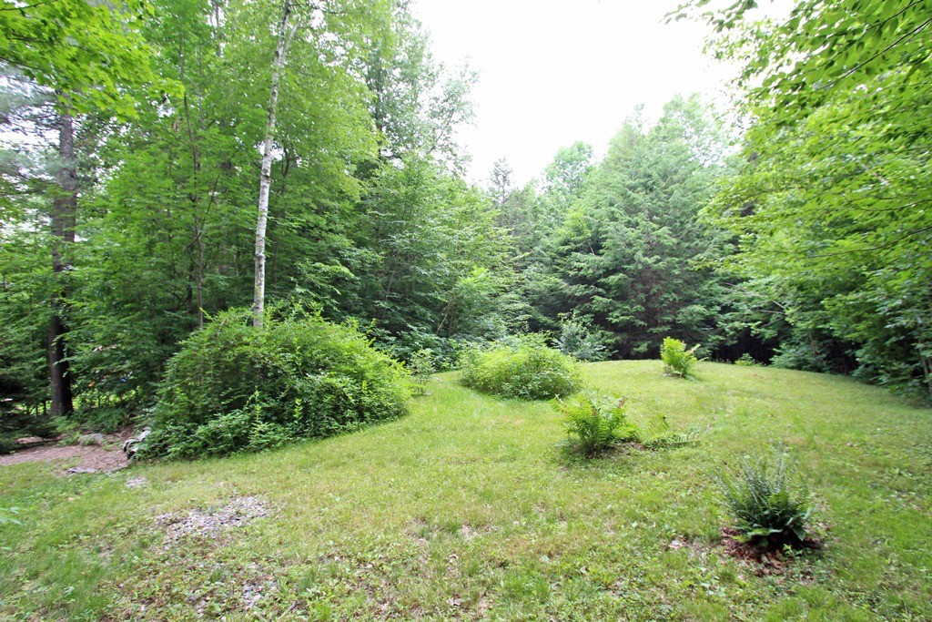 39 Harlow Clark Road Huntington, MA 01050 - Photo 28 of 30 a view of a lush green space