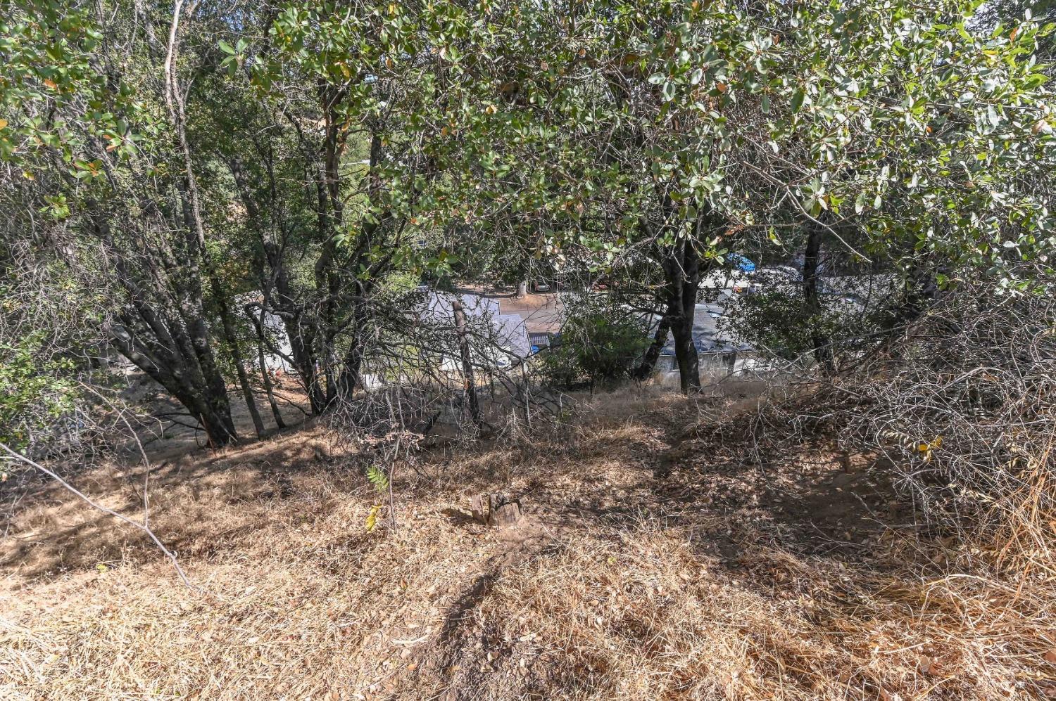 0 Raspberry Lane Angels Camp, CA 95222 - Photo 11 of 46 a view of a forest with trees in the background