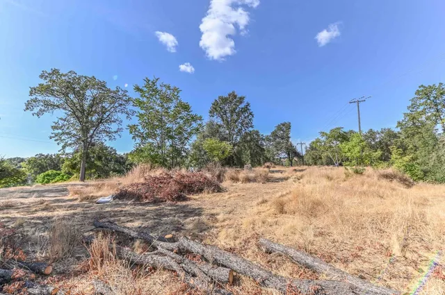 a view of a yard with a tree