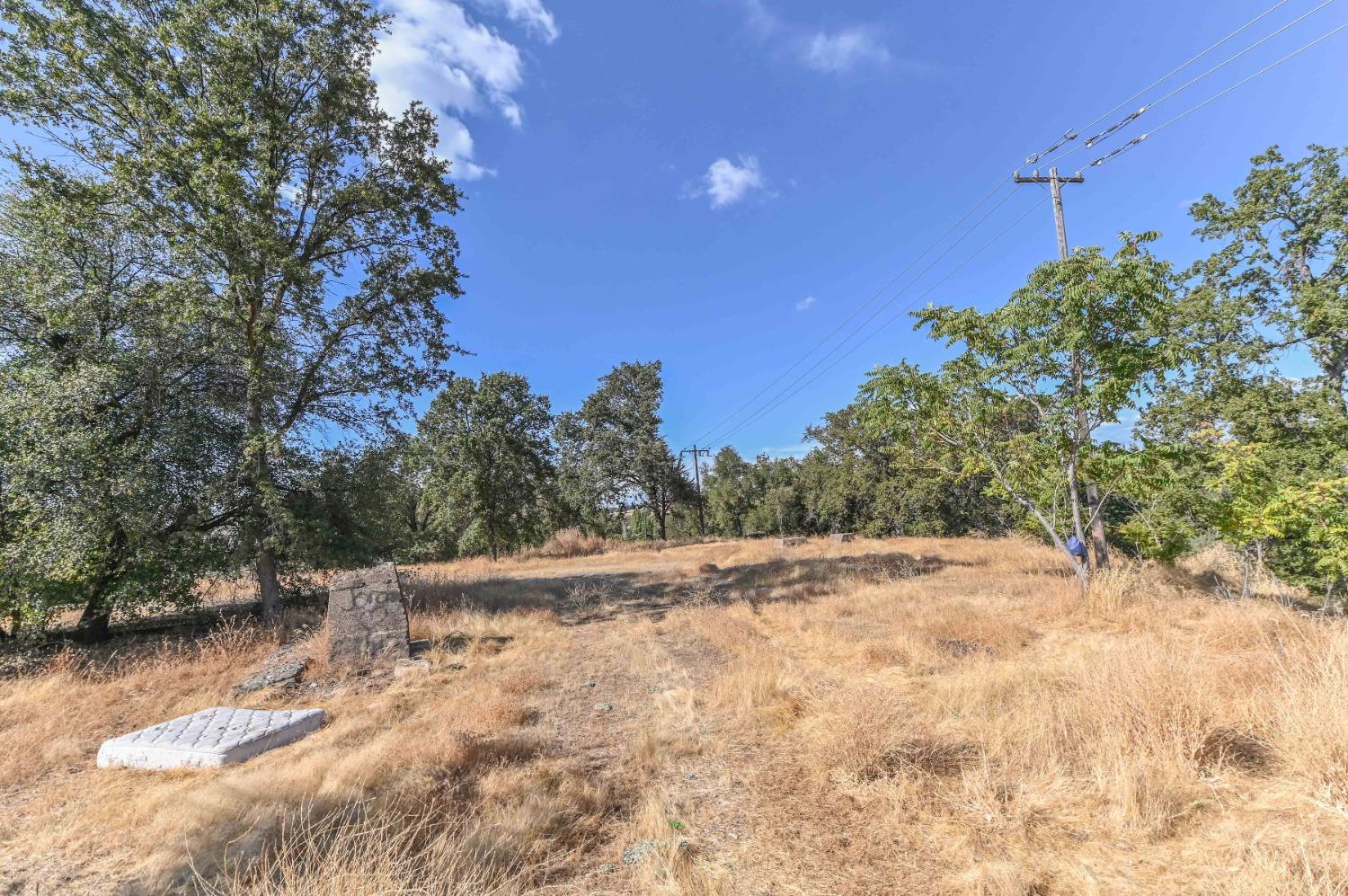 0 Raspberry Lane Angels Camp, CA 95222 - Photo 17 of 46 a view of a yard with a tree